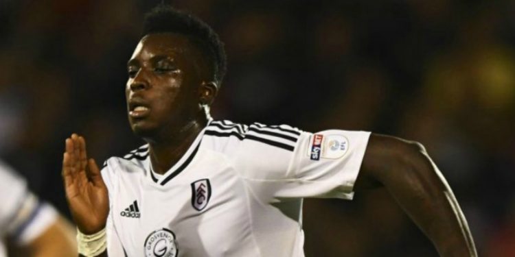 Sheyi Ojo wins top praise after goal leads Cardiff City to victory ...